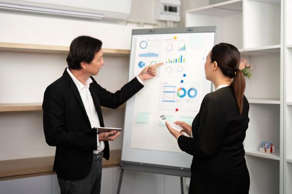 Consulting Services